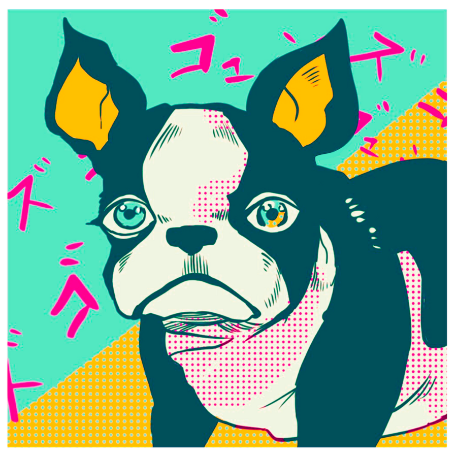 Iggy (Jojo's Bizarre Adventure)